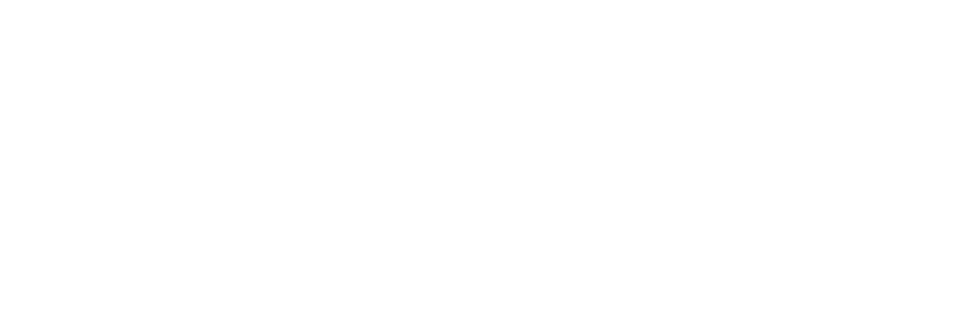 vizzo.in